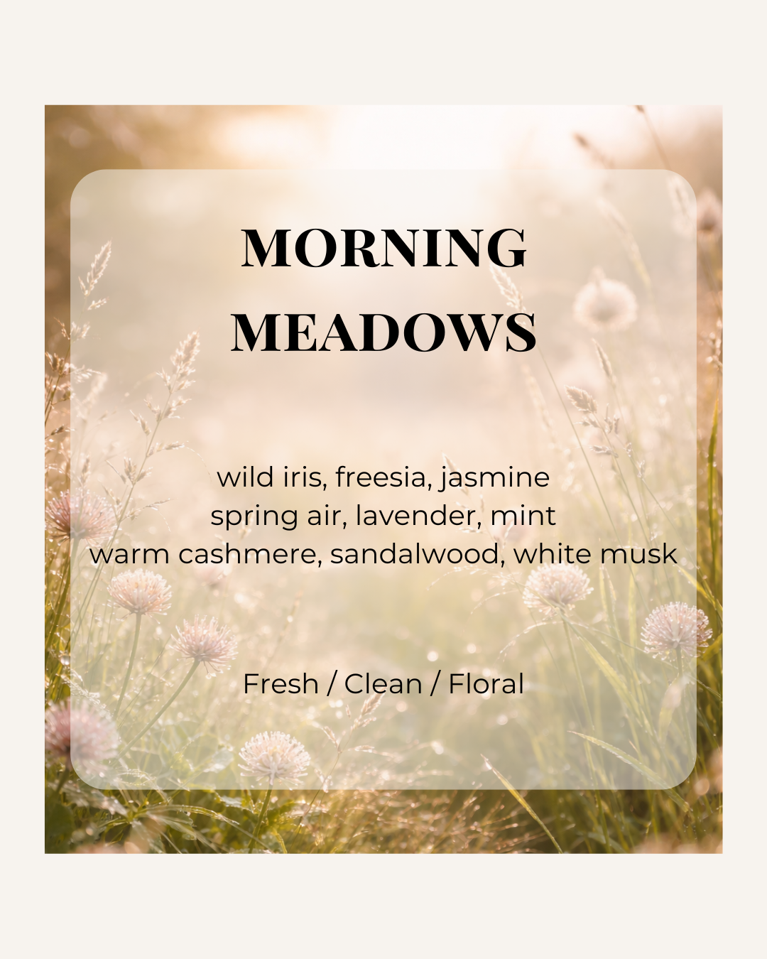 Morning Meadows