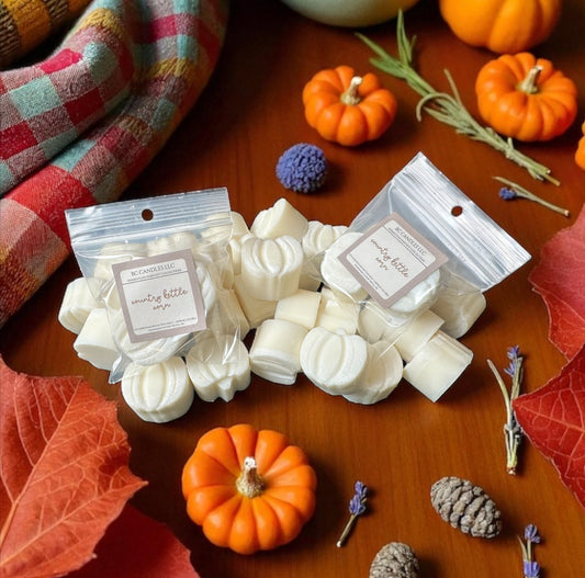Homestead Harvest Collection | Pumpkin Wax Melt Samples